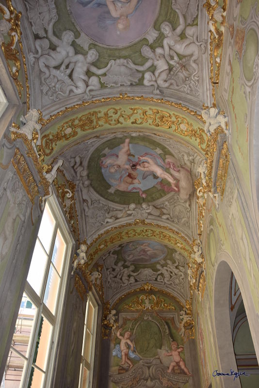 Maggiore  Palazzo Durazzo Pallavicini